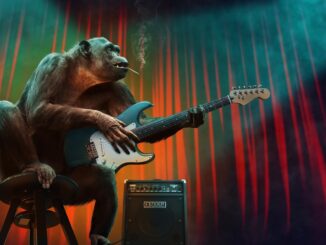 monkey, music, concert, nature, guitar, stage, amplifier, electric guitar, animal, mammal, primate, chimpanzee