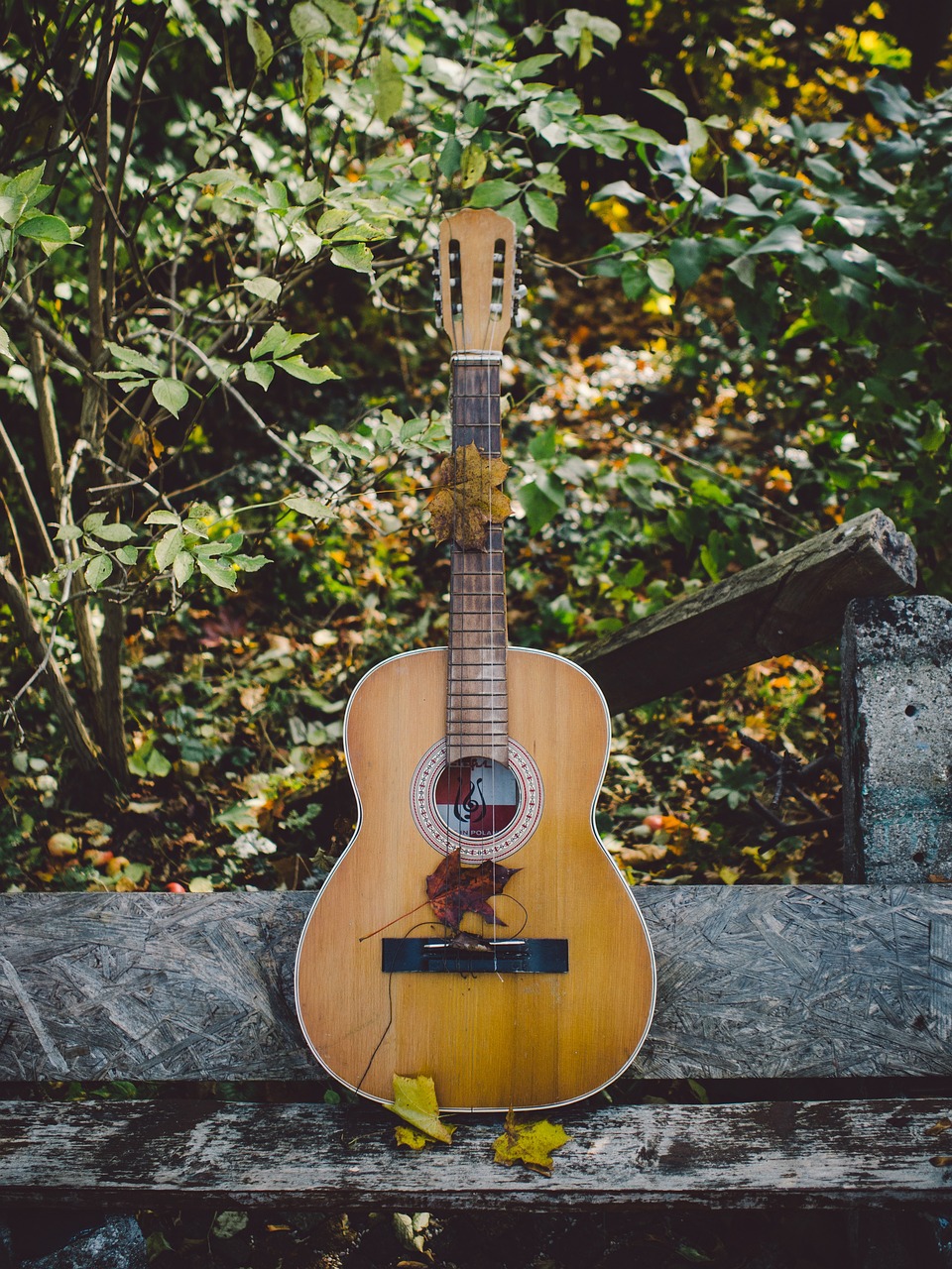 acoustic, guitar, music, instrument, guitar, guitar, guitar, guitar, guitar