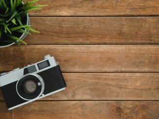 Retro camera and potted plant on wooden surface with copy space.