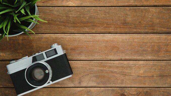 Retro camera and potted plant on wooden surface with copy space.
