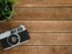 Retro camera and potted plant on wooden surface with copy space.