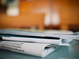 newspapers, weekly, reading, information, paper, article, politics, text, news, article, politics, politics, news, news, news, news, news