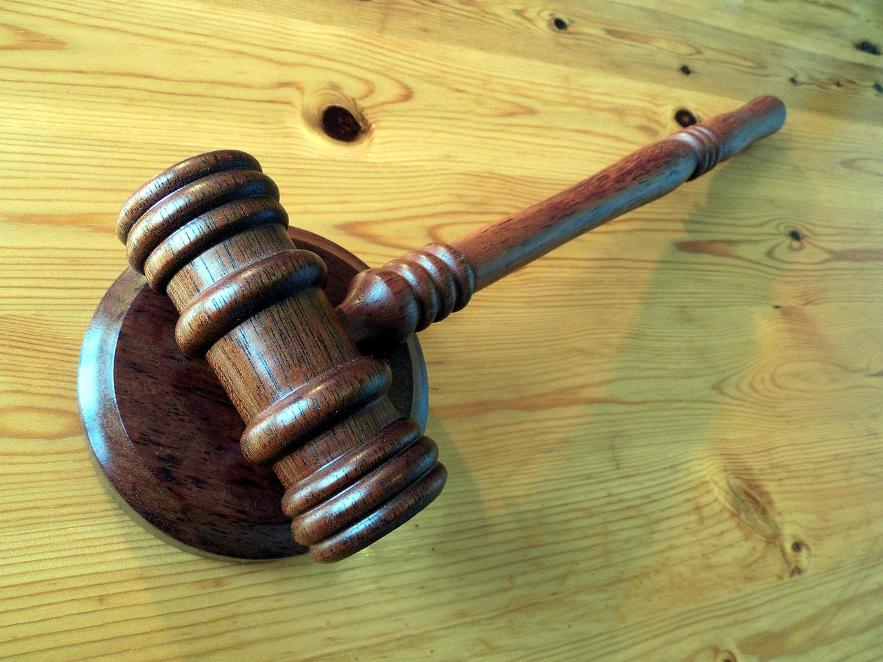 justice, dish, hammer, auction, law, auctioneer, judge, paragraph, jurisdiction, auction, auction, auction, auction, auction, law, law, judge, judge, judge