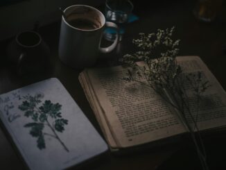 Moody still life of vintage book, coffee mug, and dried flowers on a dark wooden table.