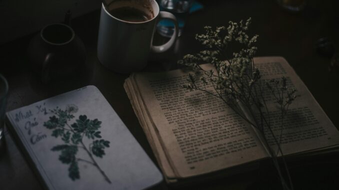 Moody still life of vintage book, coffee mug, and dried flowers on a dark wooden table.