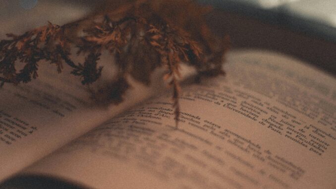 Close-up of an open vintage book with dried leaves, creating a warm and nostalgic mood.