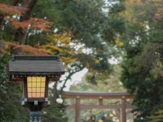 A traditional Japanese lantern with an autumn backdrop in a peaceful garden setting.
