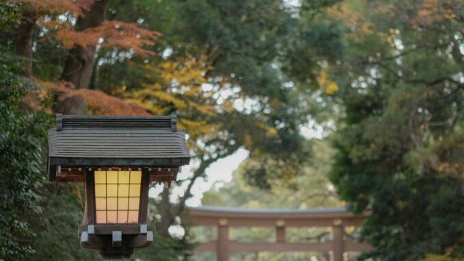 A traditional Japanese lantern with an autumn backdrop in a peaceful garden setting.