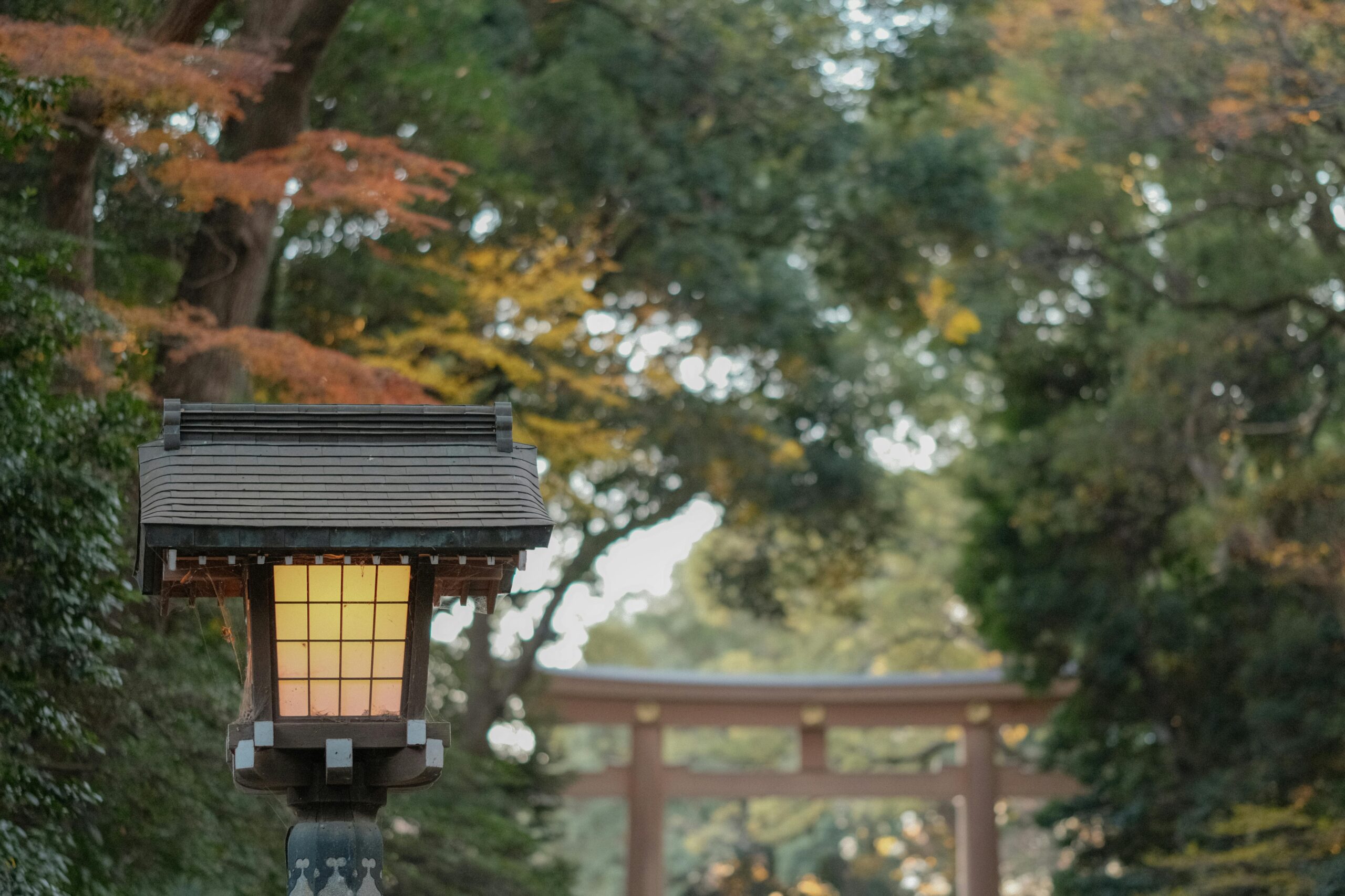 A traditional Japanese lantern with an autumn backdrop in a peaceful garden setting.