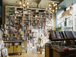 Bright and inviting bookstore interior featuring tall bookshelves filled with diverse books and a whimsical ceiling decor.