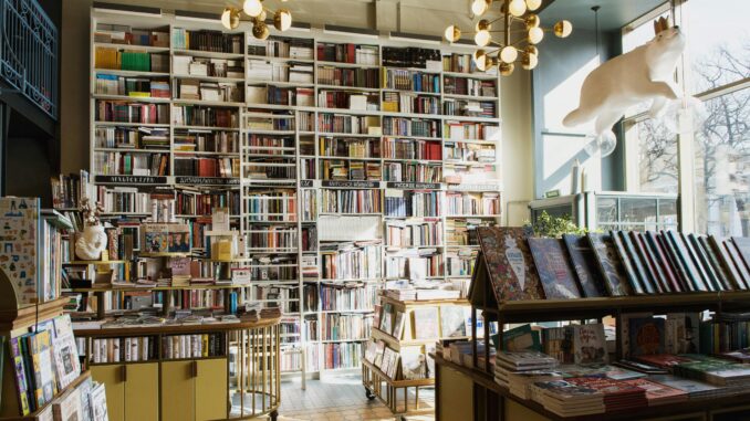 Bright and inviting bookstore interior featuring tall bookshelves filled with diverse books and a whimsical ceiling decor.