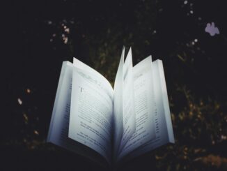 An open book with pages turning, captured outdoors, creating a dreamy reading atmosphere.