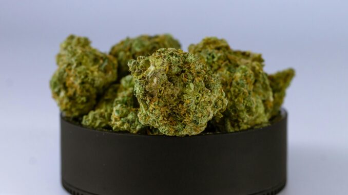 High-quality close-up image of cannabis buds in a black container, showcasing their texture and detail.