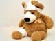 teddy, teddy bear, association, ill, stuffed animal, improvement, injured, get well soon, teddy, teddy bear, teddy bear, teddy bear, teddy bear, teddy bear, ill, injured, injured
