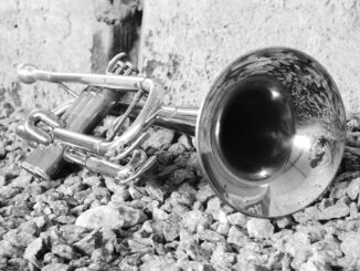 music, instrument, trumpet, metal, trombone, black and white, trumpet, trumpet, trumpet, trumpet, trumpet, trombone, trombone, trombone
