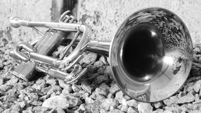 music, instrument, trumpet, metal, trombone, black and white, trumpet, trumpet, trumpet, trumpet, trumpet, trombone, trombone, trombone