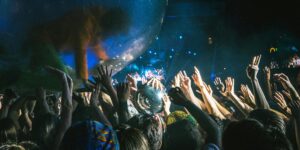 Lively concert scene with excited crowd and performer in a transparent ball at night.