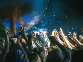Lively concert scene with excited crowd and performer in a transparent ball at night.