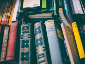 Explore a collection of vintage books with colorful spines on a wooden shelf. Perfect for literature lovers.