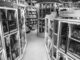 Monochrome view of a bookstore's interior with various bookshelves and romance fiction section.