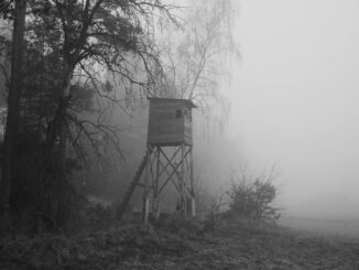 Black and white image of a wooden observation tower in a misty forest setting.