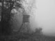 Black and white image of a wooden observation tower in a misty forest setting.