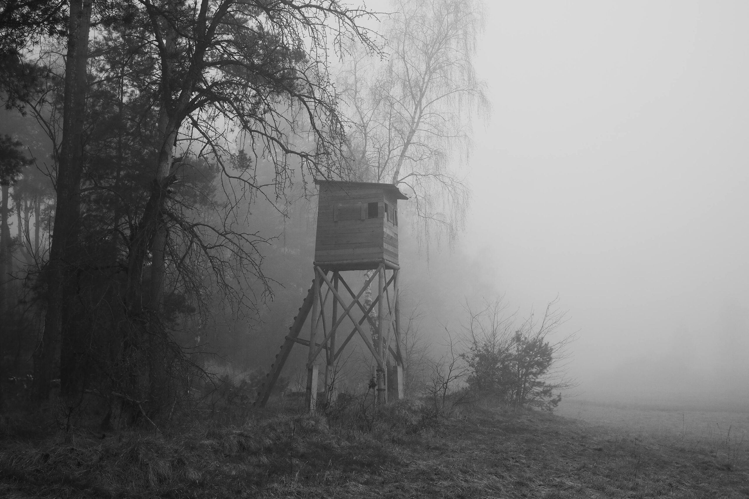 Black and white image of a wooden observation tower in a misty forest setting.