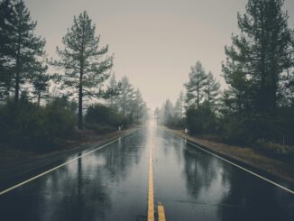 A serene rain-soaked road cutting through a misty forest, creating a mystical atmosphere.