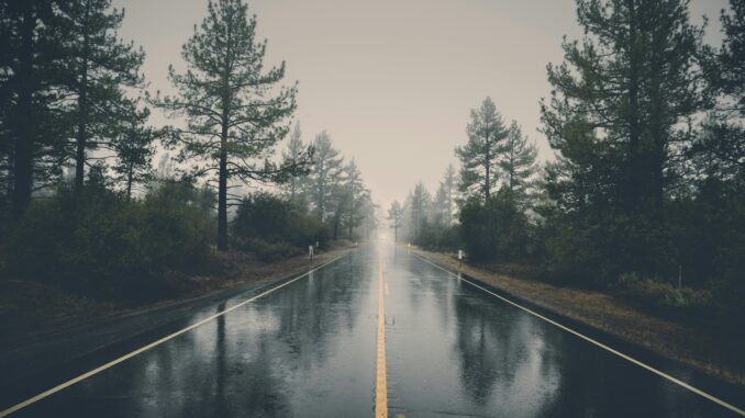 A serene rain-soaked road cutting through a misty forest, creating a mystical atmosphere.