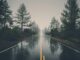 A serene rain-soaked road cutting through a misty forest, creating a mystical atmosphere.