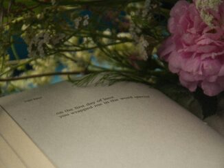 Open book surrounded by delicate flowers, creating a serene still life scene.