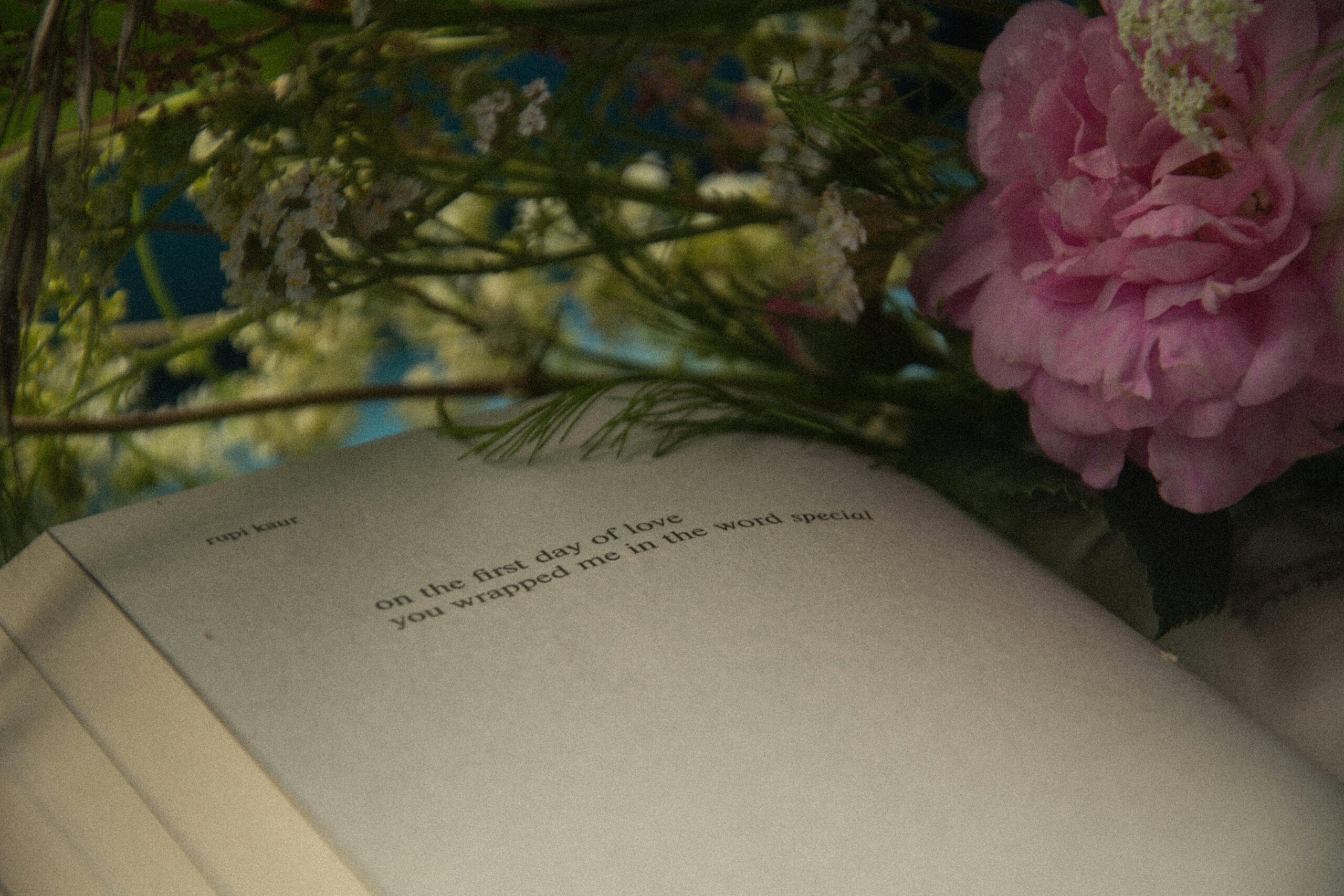 Open book surrounded by delicate flowers, creating a serene still life scene.