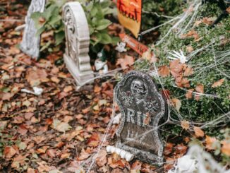 Fake graves covered in web with bones lying around near signs trick or treat and home sweet home on Halloween in autumn day