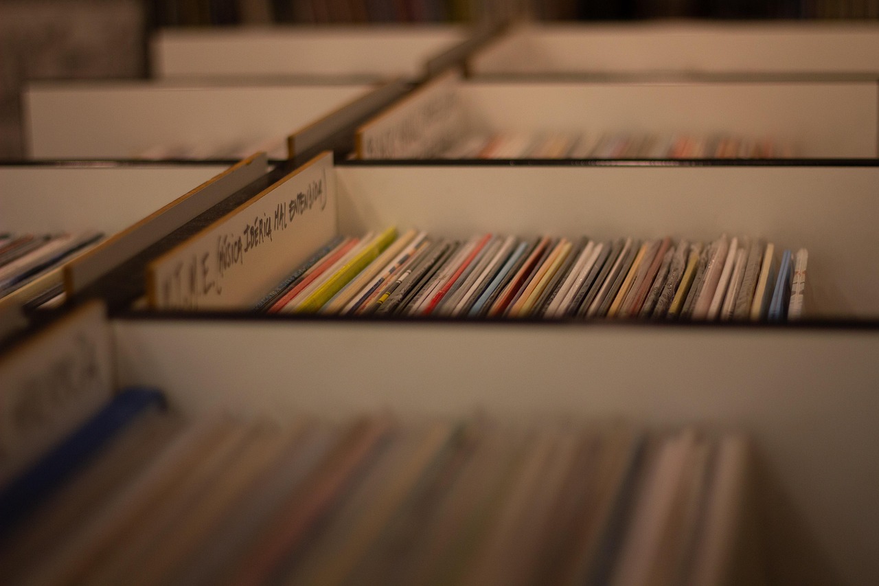 record shop, vinyl records, music, music store, albums, load, vinyl, retro