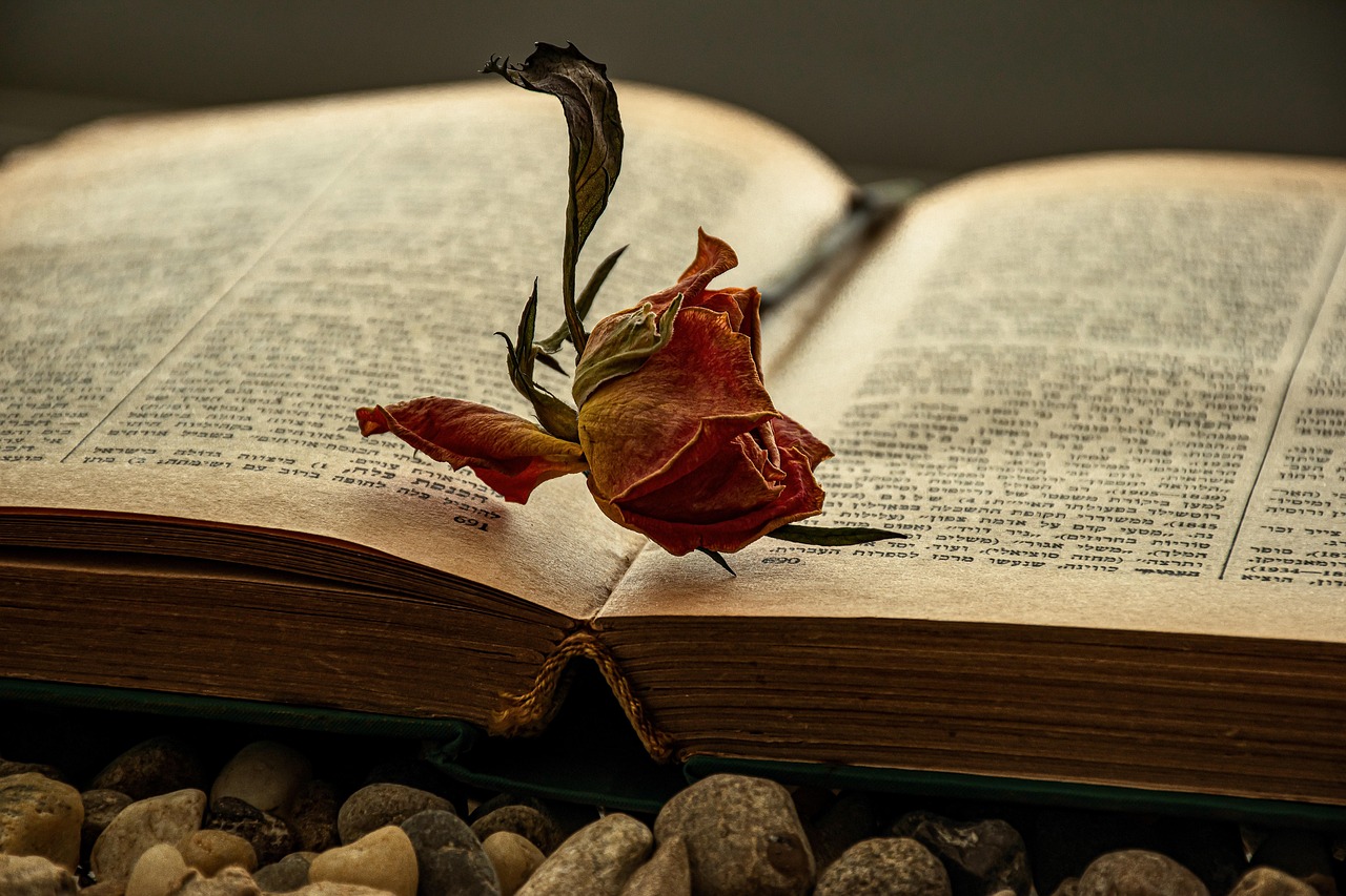 book, reading, dried rose, novel, book wallpaper, old book, bookworm, book mark, chapter, literary, faded rose, tiresome rose, yellow pages, book cover, romanticism, textured page, queen of the flowers, cozy, hebrew letters, antiquarian, encyclopaedia, retro book, antique book, old timer, benefit from
