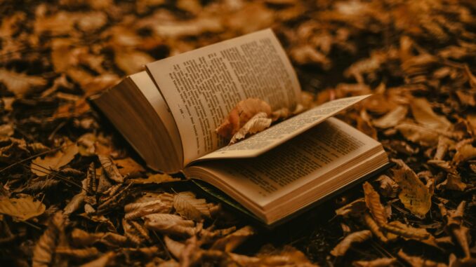 A vintage book open on fallen leaves, embodying the essence of autumn in a tranquil forest environment.