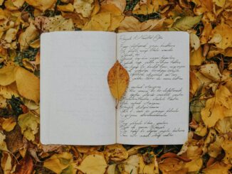 Open notebook with handwritten script surrounded by vibrant autumn leaves, offering a cozy and creative vibe.