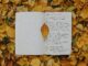 Open notebook with handwritten script surrounded by vibrant autumn leaves, offering a cozy and creative vibe.