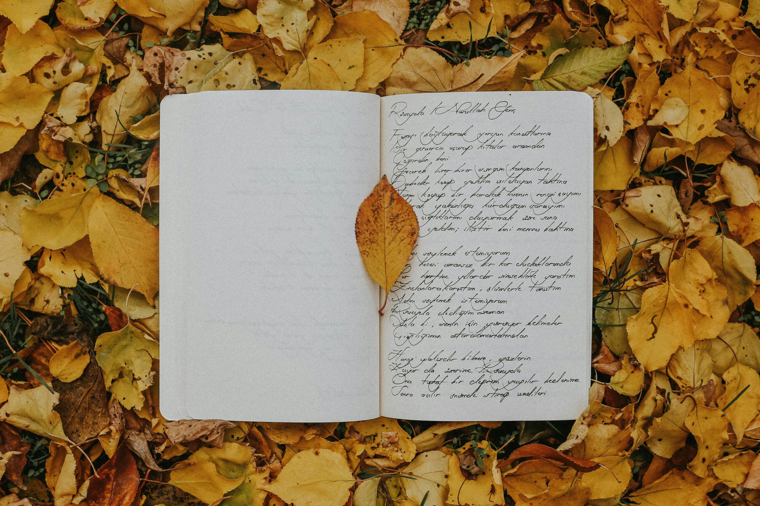 Open notebook with handwritten script surrounded by vibrant autumn leaves, offering a cozy and creative vibe.