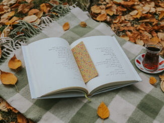 Cozy autumn picnic setting with an open book, tea, and blanket among fallen leaves.