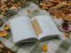 Cozy autumn picnic setting with an open book, tea, and blanket among fallen leaves.