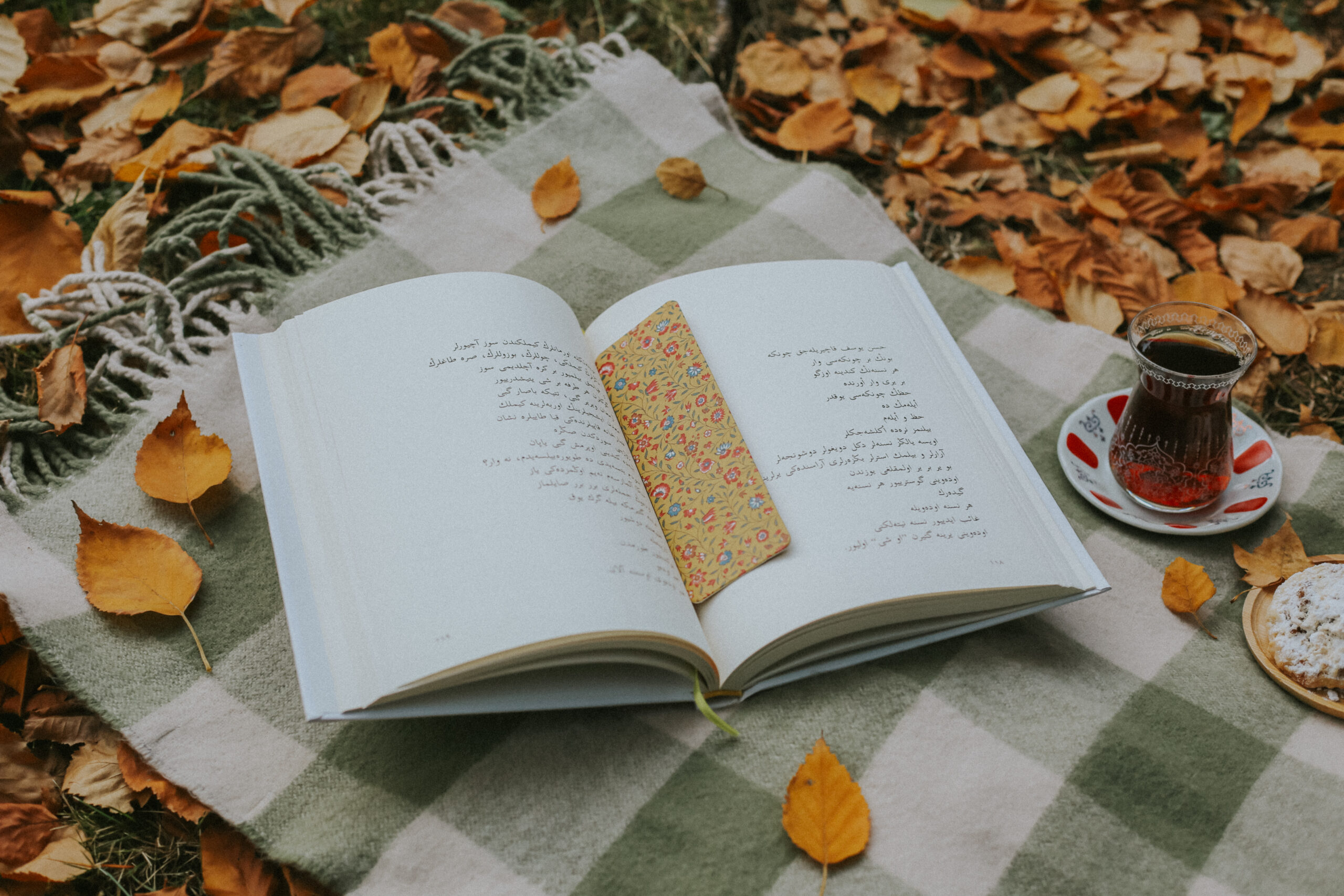 Cozy autumn picnic setting with an open book, tea, and blanket among fallen leaves.