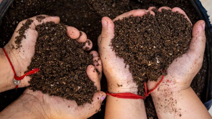 Close-up of hands holding soil shaped like a heart, symbolizing love and care for nature.