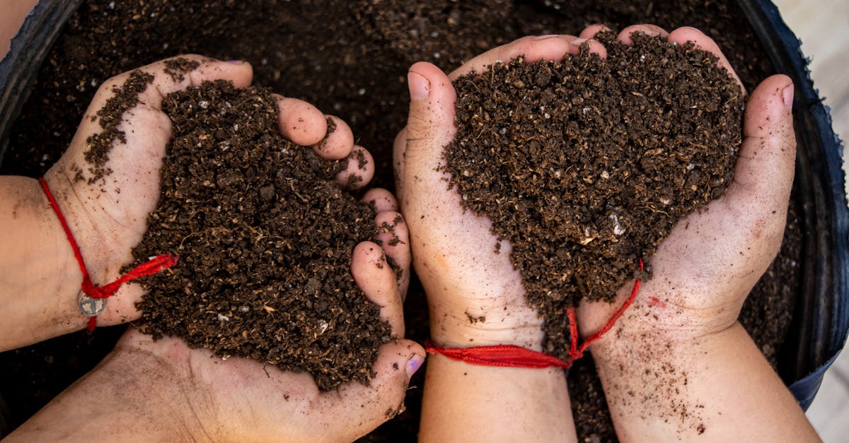 Close-up of hands holding soil shaped like a heart, symbolizing love and care for nature.