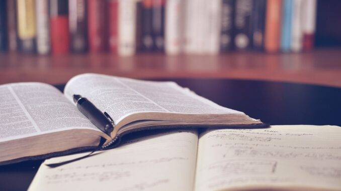 open book, library, education, read, book, school, literature, study, knowledge, text, information, reading, studying, library, education, education, book, book, book, school, school, study, study, study, study, study, reading, studying
