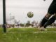soccer, ball, sports, goal kick, corner, outdoor, black, green, kicker, to play, victory, football match, soccer, soccer, soccer, soccer, soccer