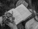 A person reads a book while holding flowers, captured in black and white outdoors.