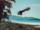 A bird gracefully flying over a scenic tropical coastline with palm trees and blue ocean.