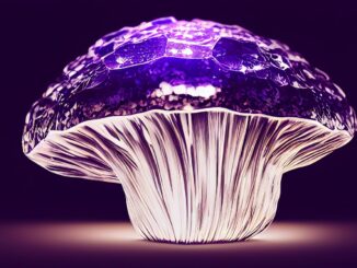 crystal, mushroom, purple mushroom, crystal mushroom, magical mushroom, fantasy, design, mushroom, mushroom, mushroom, mushroom, mushroom