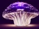 crystal, mushroom, purple mushroom, crystal mushroom, magical mushroom, fantasy, design, mushroom, mushroom, mushroom, mushroom, mushroom